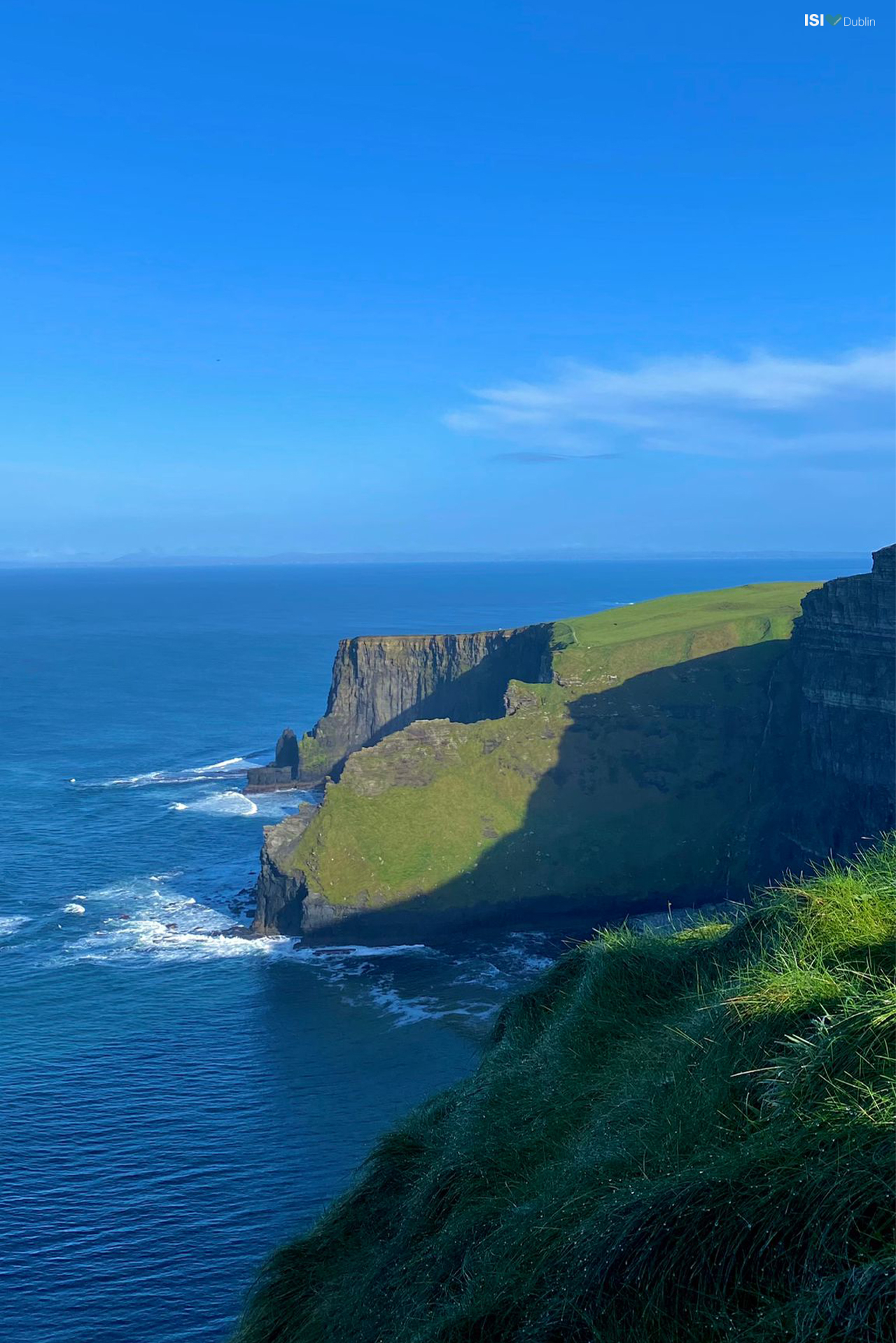 Cliffs of Moher by Dalia Lanzoni