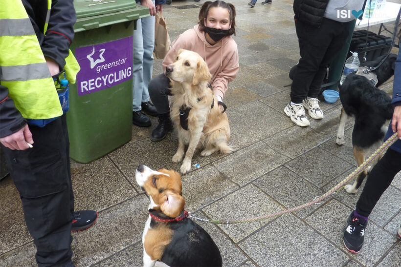 Carolina Mann (5th year at Manor House) spent some time on Graffton Street at a dog rescue event