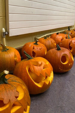 Students carved pumpkins this week in Fingal Community College
