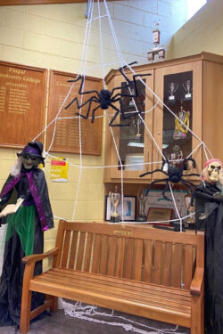More spooky scenes at Fingal Community College!