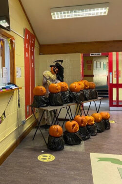 Pumpkins and decorations at Fingal Community College!