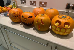 Rebecca Bergau (4th year at Manor House) carved pumpkins with her host family this week!