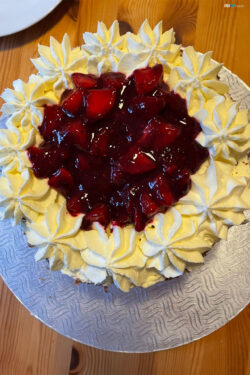 An Takahashi (4° anno alla St. Joseph of Cluny) ha recentemente festeggiato il suo 17° compleanno! La sua torta ha un aspetto delizioso!