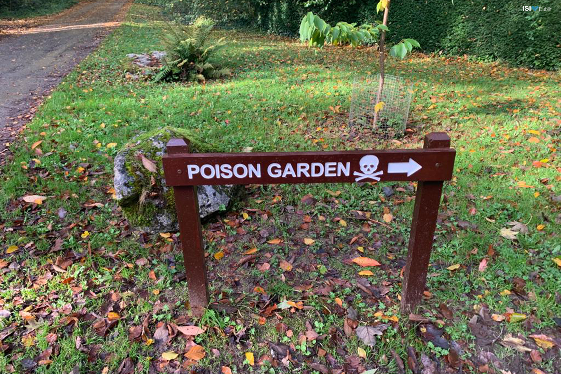 Poison Garden in Blarney
