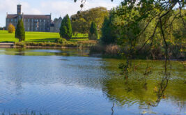 isi-dublin-rockwell-college (6)