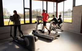 isi-dublin-rockwell-college (8)